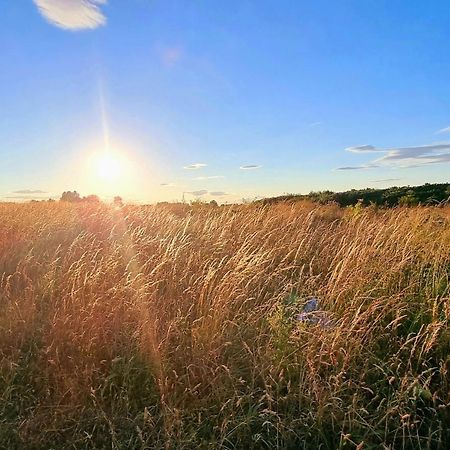 ファイリー Meadow Viewヴィラ エクステリア 写真